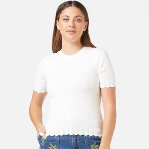 Princess Highway Zoe Knit Top Womens 12 Large Cream Elegant ShortSleeve Sweater